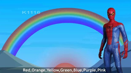 The Rainbow Colors Song | Spiderman Finger Family Nursery Rhymes | Toddlers The Rainbow Co