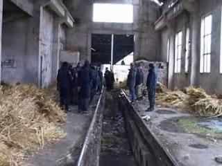 VIJOJNE KERKIMET TE ARRATISURIT DYSHOHET SE KERKOJNE TE KALOJNE NE GREQI LAJM