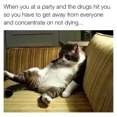 When The Drugs Hit You To Hard At A Party