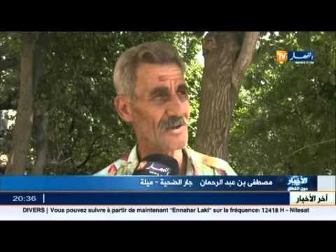 إختفاء الطفل بن رجم محفوظ أنيس و مصالح الشرطة في البحث عنه بميلة