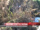 Kolektorët në Durrës, 8 vjet pa u pastruar - News, Lajme - Vizion Plus
