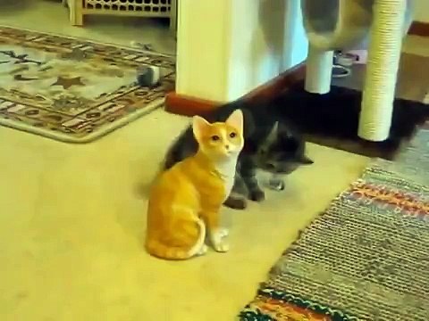 Давай со мной играть))))