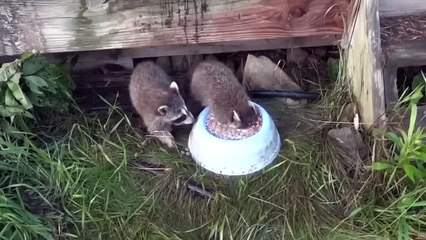 Оооо.... как же я люблю МОЛОКО)))