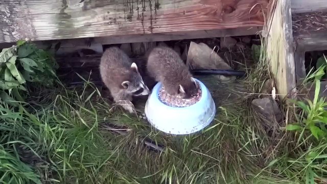 Оооо.... как же я люблю МОЛОКО)))