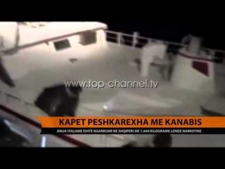 Kapet peshkarexha me kanabis  - Top Channel Albania - News - Lajme