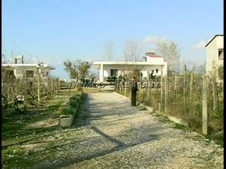 Tragjedia e Shkozetit, përgjegjësitë dhe pikëpyetjet - Top Channel Albania - News - Lajme