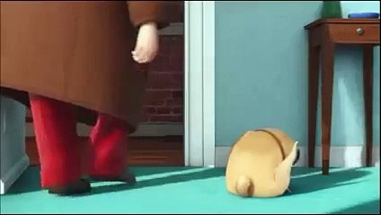 amimal party,movie clip .........hihihihi