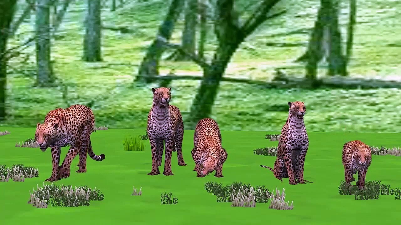 Baby Kids Rhymes Collection| More Popular Nursery Rhymes