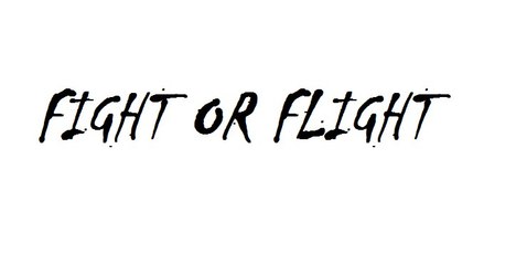 Attentats, peur et terrorisme [FIGHT OR FLIGHT]