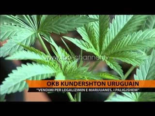 OKB kundërshton Uruguajin - Top Channel Albania - News - Lajme