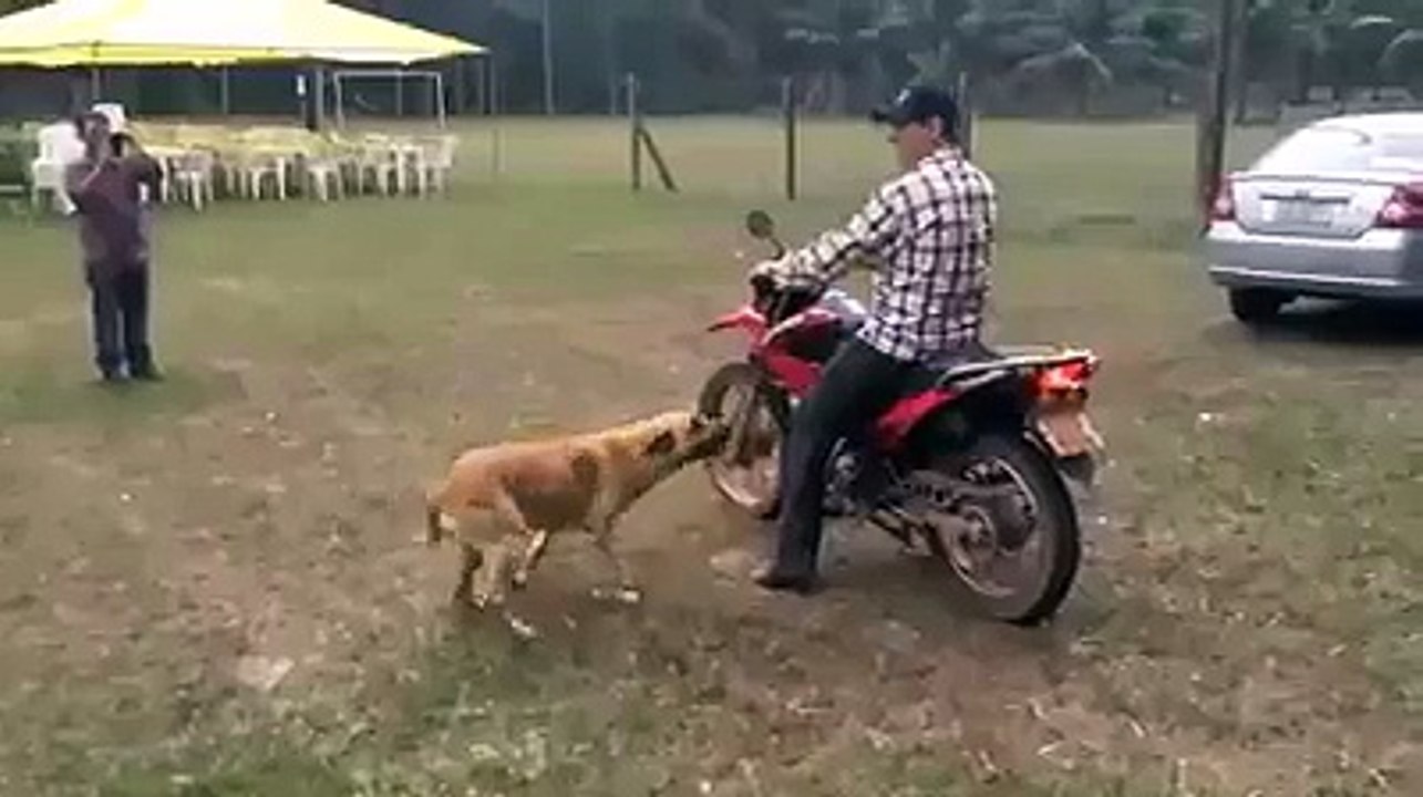 İki tur atalım mı kaptan