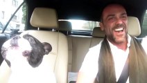 Dog sing Song with Owner 