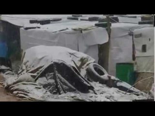 KAPRIÇOT E MOTIT BORE PAS NJE SHEKULLI NE EGJIPT,ZBARDHET LINDJA E MESME LAJM