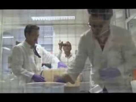 ARMET KIMIKE SIRIANE EDHE KROACIA REFUZON PERDORIMIN E PORTEVE TE SAJ LAJM