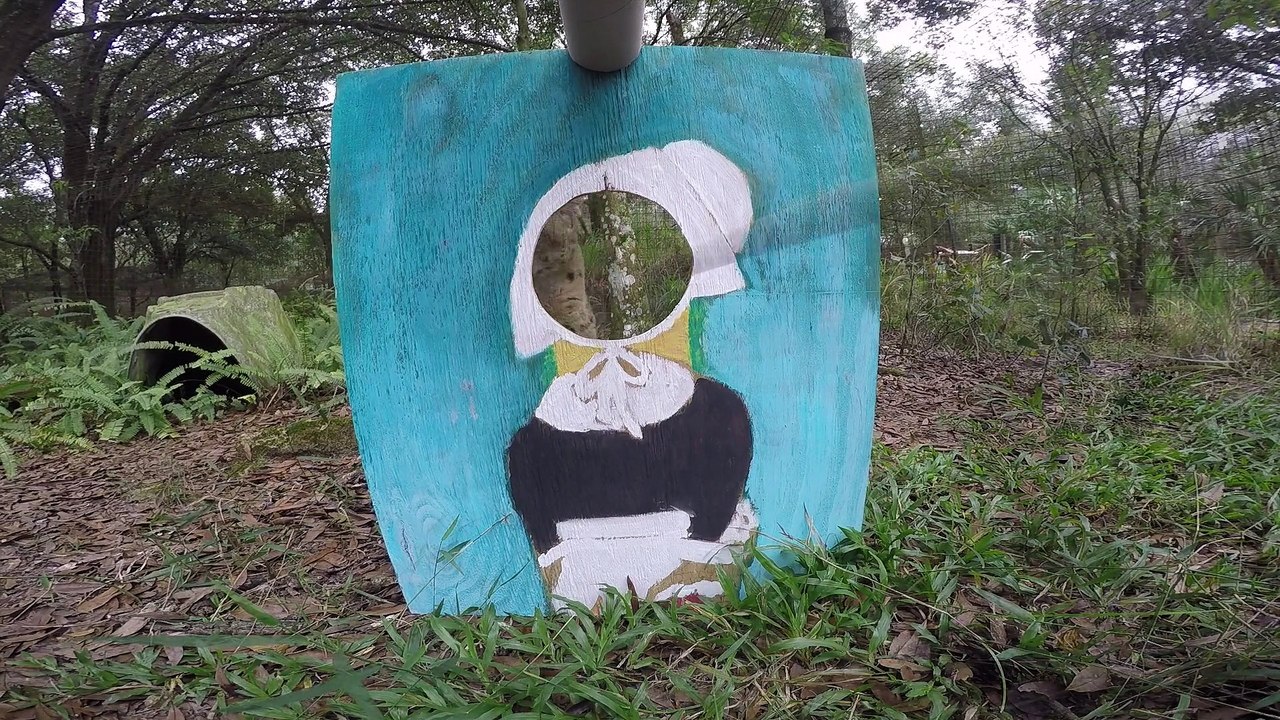 A Big Cat Thanksgiving: Pilgrims, Native Americans, and a Turkey