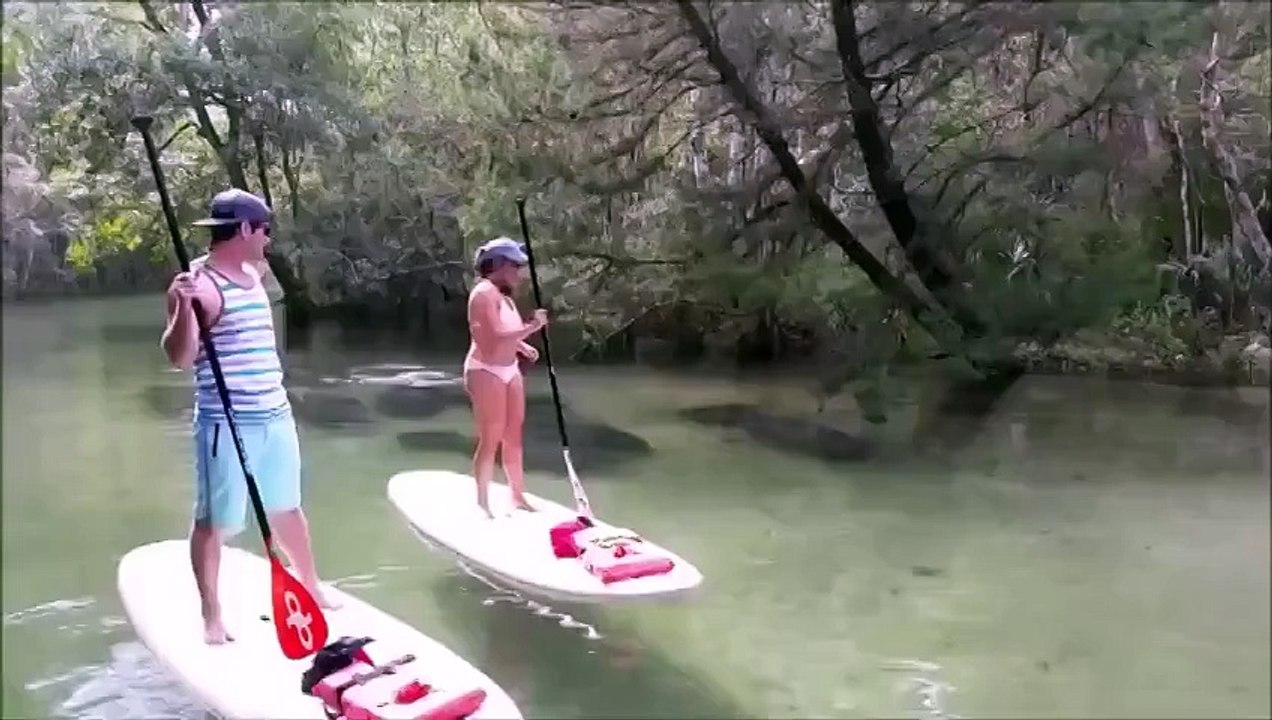 Они спокойно плыли по реке, как вдруг увидели это…