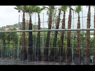 PERSERI ATENTAT NE PREZE PLAGOSET BABAI I KRYETARIT TE PS NE PREZE ATENTATI I TRETE LAJM