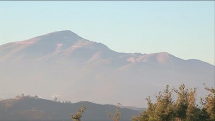 الطائرة الروسية كانت تقوم بتغطية جوية لقوات الأسد