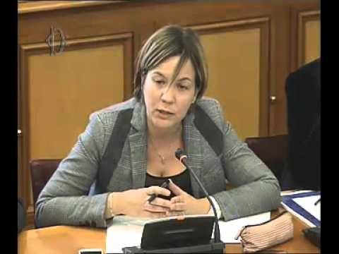 Roma - Audizione di rappresentanti delle regioni Abruzzo, Molise e Piemonte (24.11.15)