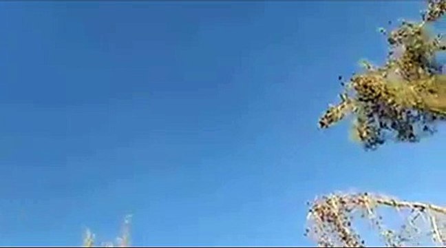 Suriye sınırında savaş uçağı düştü!Uçağın düşme anı