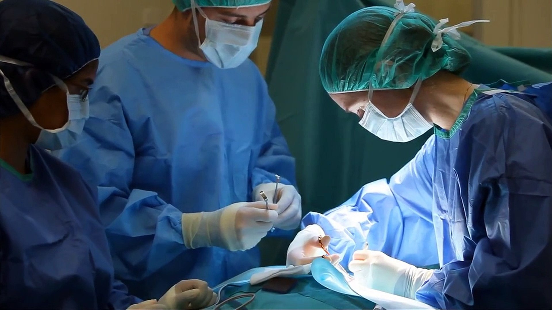 ⁣University of Melbourne & Veterinary Medicine