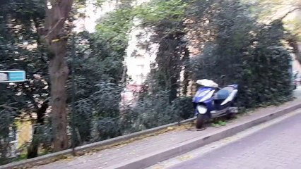 BEŞİKTAŞ ABBASAĞA MAHALLESİ NARDENK SOKAK