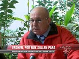 Emigrantet nuk shpenzojnë më, shkak kriza - News, Lajme - Vizion Plus