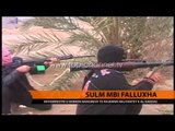 Irak, sulm mbi Falluxha - Top Channel Albania - News - Lajme