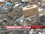 Elbasan, mbetjet në lumë rrezik epidemie - News, Lajme - Vizion Plus