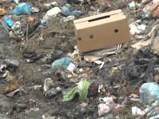 MUNGESA E KAZANEVE ELBASAN,BANORET I HEDHIN MBETJET URBANE NE PERRUA LAJM