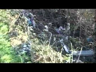 Ekzekutohen Gjepali dhe Fici - Top Channel Albania - News - Lajme