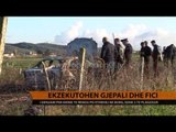Ekzkutohen Gjepali dhe Fici - Top Channel Albania - News - Lajme