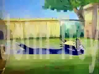 توم و جيري 1944 يضع على الكلب الجزء 25