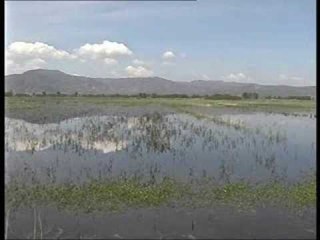 PERMBYTJET NE MALIQ FUSHA PO SHKON SERISH DREJT KTHIMIT SI DIKUR NE KENETE LAJM