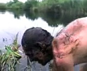 Вот это нырнул mp4