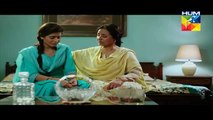 Mera Dard Na Jany Koi Episode 24 Full Hum Tv Drama November 24, 2015