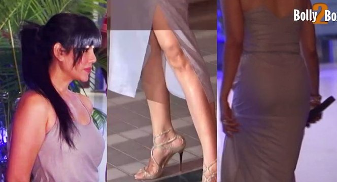 Wardha Nadiadwala Khan looks Too Hot in Gray Fancy Dress & Show Off Her Self In Front Of Media At Birthday Boy Sajid Khan’s birthday celebrations