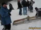 crash de luge