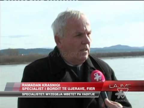 Devijimi i Vjosës, specialistët: Myzeqeja mbetet pa vaditje - News, Lajme - Vizion Plus