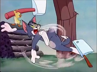 Tom and Jerry, 47 Episode Little Quacker 1950