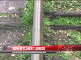 Problemet me hekurudhat, treni rrezikon jetën e banorëve - News, Lajme - Vizion Plus