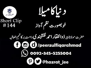 Dunya ka Mela By peer zulfiqar ahmad db