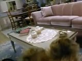 Alf - Générique Série TV