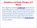 9 Weeks Pregnant, Baby's Development at 9 Weeks Pregnant, Pregnancy Week 9 Tips
