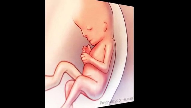 11 weeks pregnant, Body Changes at 11 Weeks at pregnant, Pregnancy Week 11 Tip