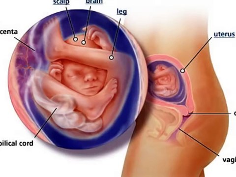 20 weeks pregnant, 20 weeks pregnant belly, 20 weeks pregnant ultrasound