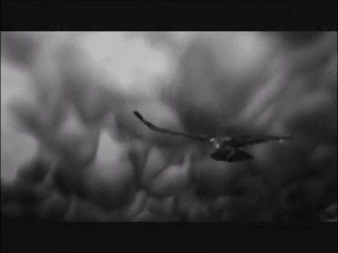 Of The Wand And The Moon – Raven Chant