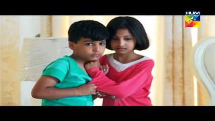 Kaise Tumse Kahoon Episode 17 Part 2 Hum TV Drama 22 Nov 2015