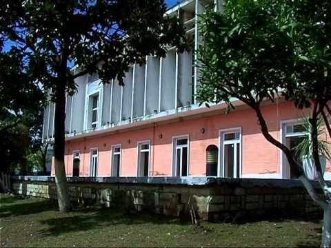 BLLOK VENDI LAJME SHKURT NGA ZHVILLIMET ME TE RENDESISHME TE POLITIKES LAJM