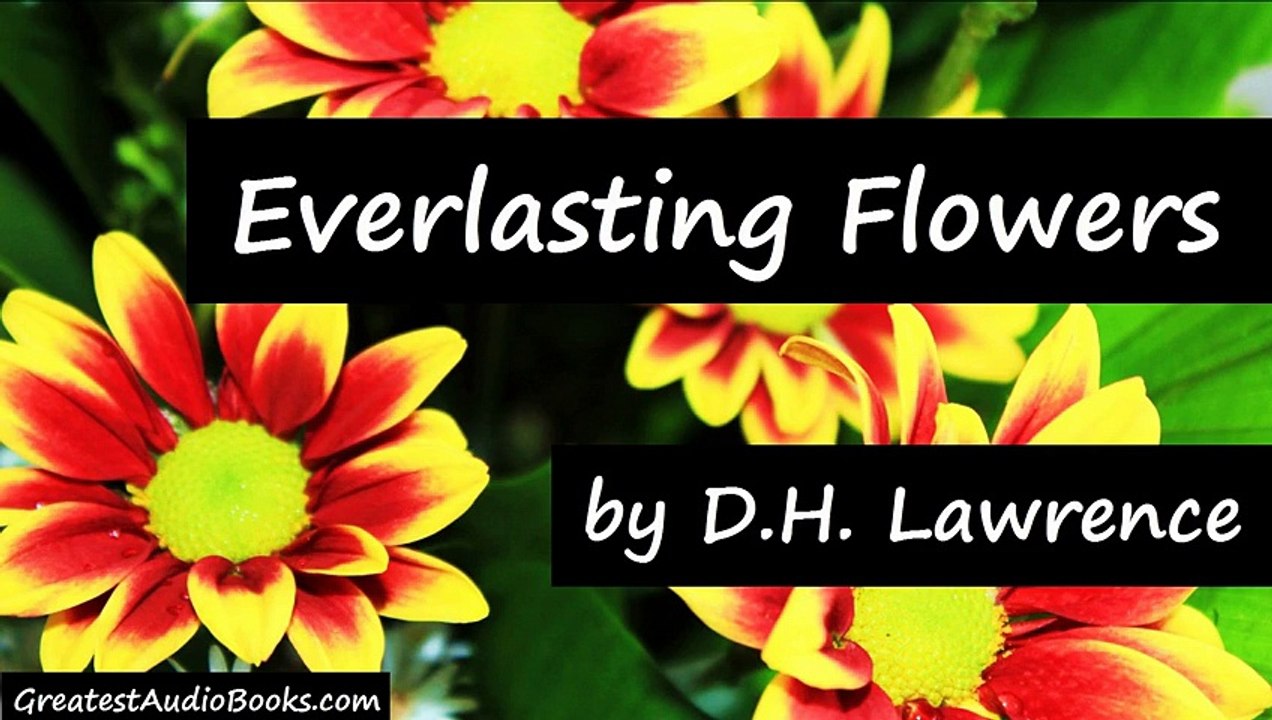 EVERLASTING FLOWERS by D. H. Lawrence - FULL Poem AudioBook | GreatestAudioBooks.com